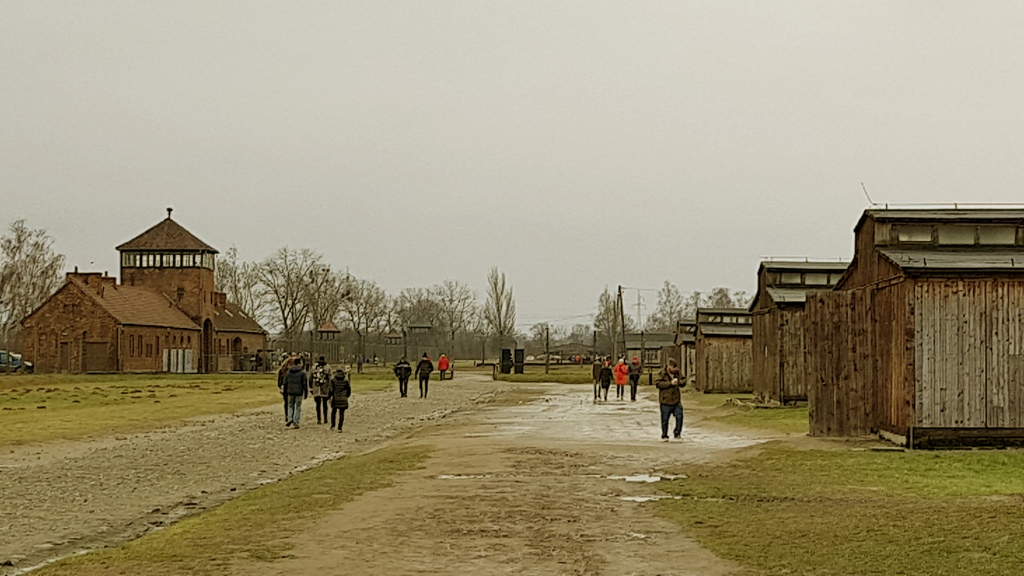 Auschwitz_in_Birkenau_5.jpg