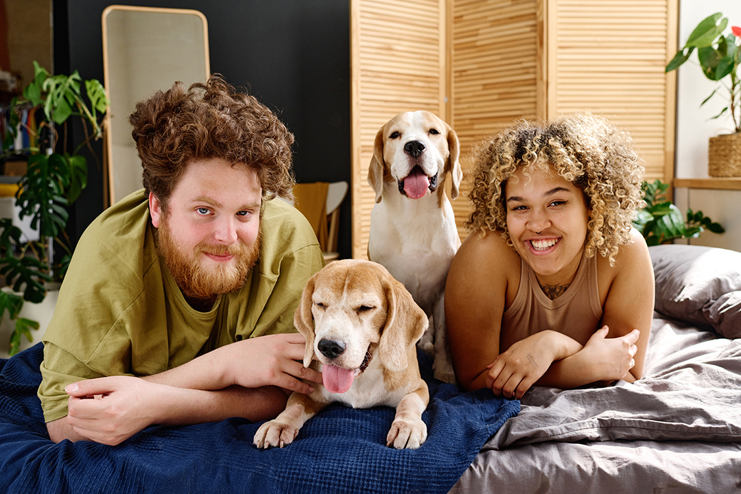 02_Varstvo_hisnih_ljubljenckov_ali_hise_-_Pet__or_House_Sitting__-_ENVATO.jpg