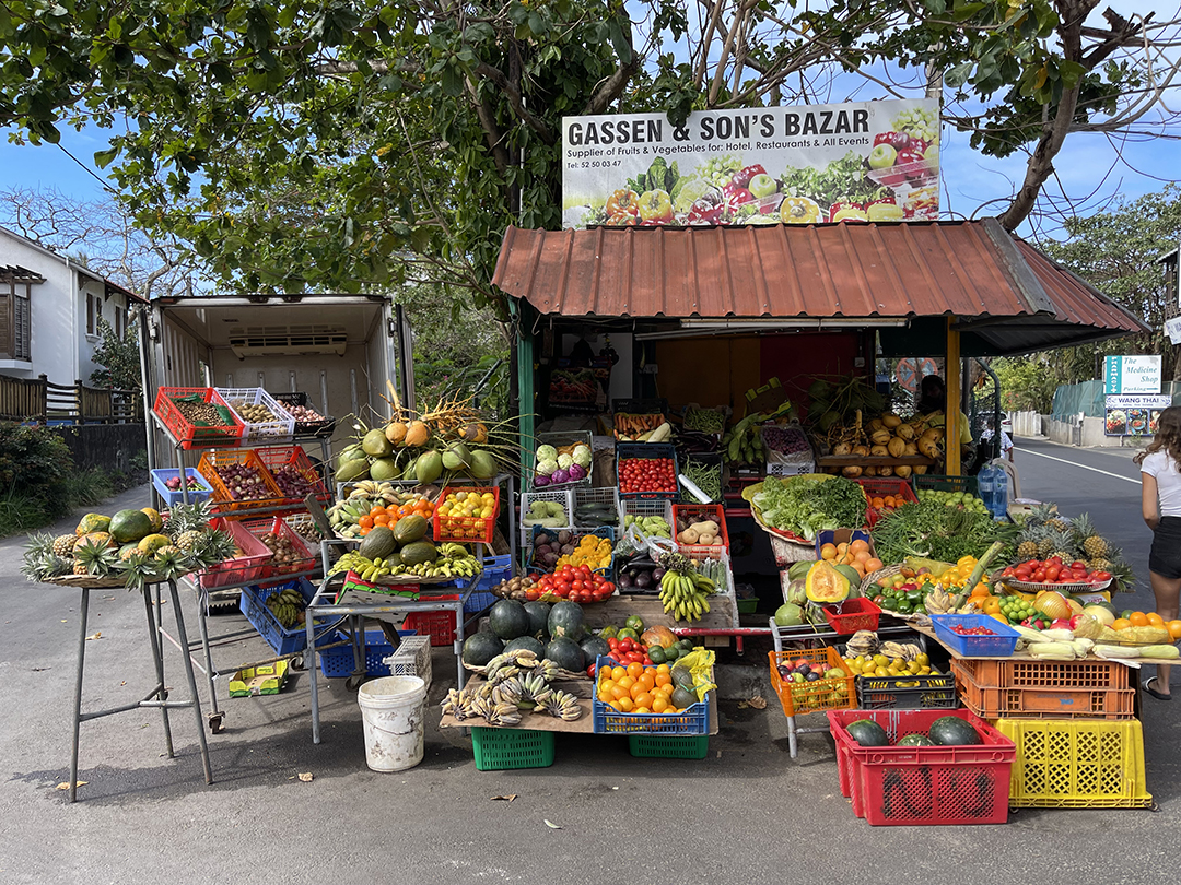 Raziskovanje_otoka_Mavricij_-_Exploring_the_island_of_Mauritius_8.jpg