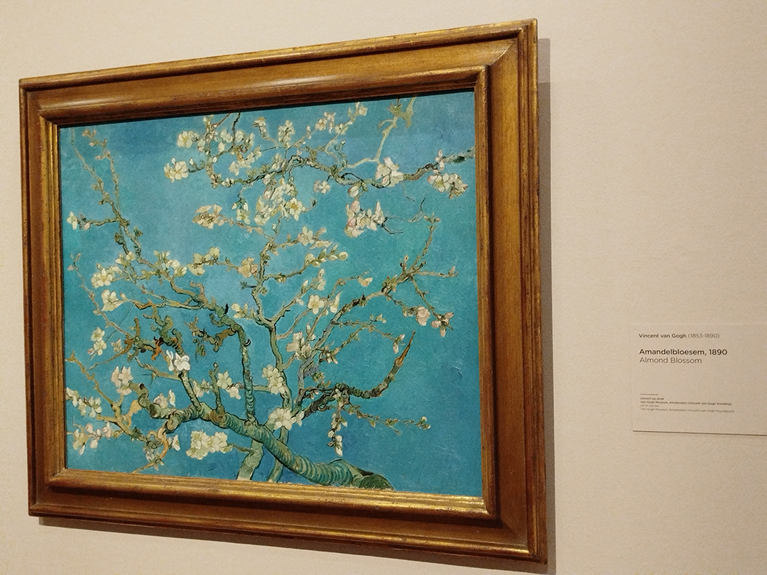 Almond Blossom painting by Vincent van Gogh showing blooming branches on a bright blue background.