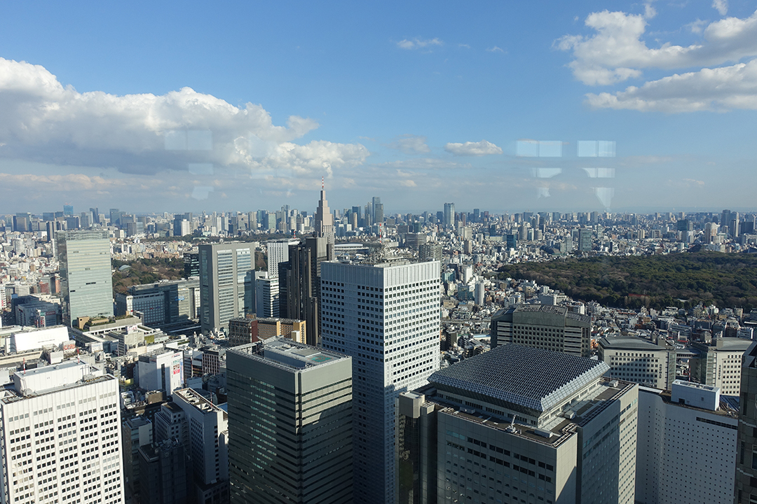Panoramic skyline of Tokyo with modern skyscrapers and vast urban landscape, capturing the scale and energy of Japan’s vibrant capital city and one of the largest metropolitan areas in the world.