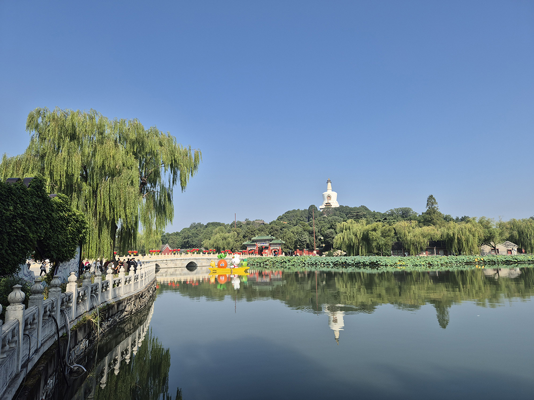 Mirno jezero v parku Beihai z belo pagodo na hribu, vrbami ob obali in odsevom pokrajine na vodni gladini.