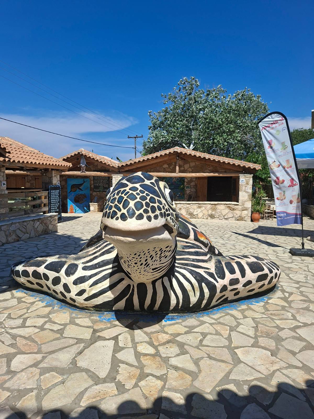 Kip morske želve pred informacijskim centrom Zakynthos Sea Turtle Rescue & Information Center obiskovalce opozarja na pomen zaščite ogrožene vrste Caretta caretta in njenih gnezdišč.